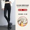 Leather Pants Women's Spring, Autumn and Winter Fleece Thickened Outer Wear Leggings High Waist Thin Windproof Waterproof Large Size Thermal Trousers