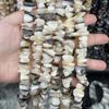 Gelbe Hufeisenschnecke Königin Muschelschale Perlen - Unregelmäßige DIY Armband & Handyketten Zubehör
