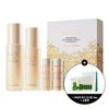 Ginseng Royal Silk Skincare 2-pc Set