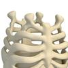 Ribcage Pen Holder Gothic Makeup Brush Holder 3D Printed Anatomy-Themed Skull Pen Holder Desktop Organizer for Vanity Desk Office Room Decor