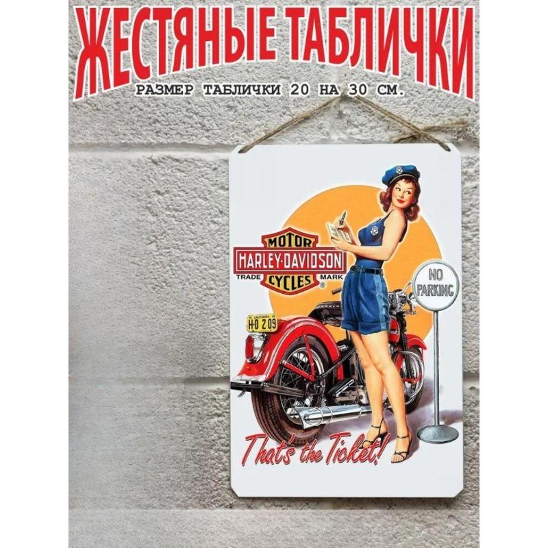 Motorcycle Metal Wall Art 20x30cm, Vintage Bike Decor Plaque