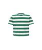 Nillonseu Full Stitch Border Tee Ii (Green)
