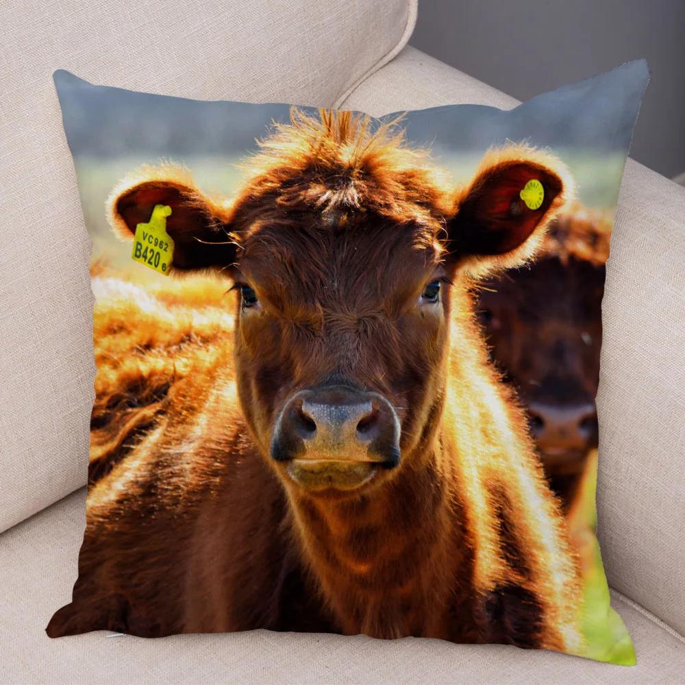 Scotland Kyloe Pillow Case Decor Wild Cow Colorful Animal Print Pillowcase Soft Short Plush Cushion Cover for Home Sofa 45x45cm