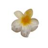 4cm průhledná třpytivá sponka do vlasů ve tvaru vajíčka s květinou - žraločí sponka do vlasů
