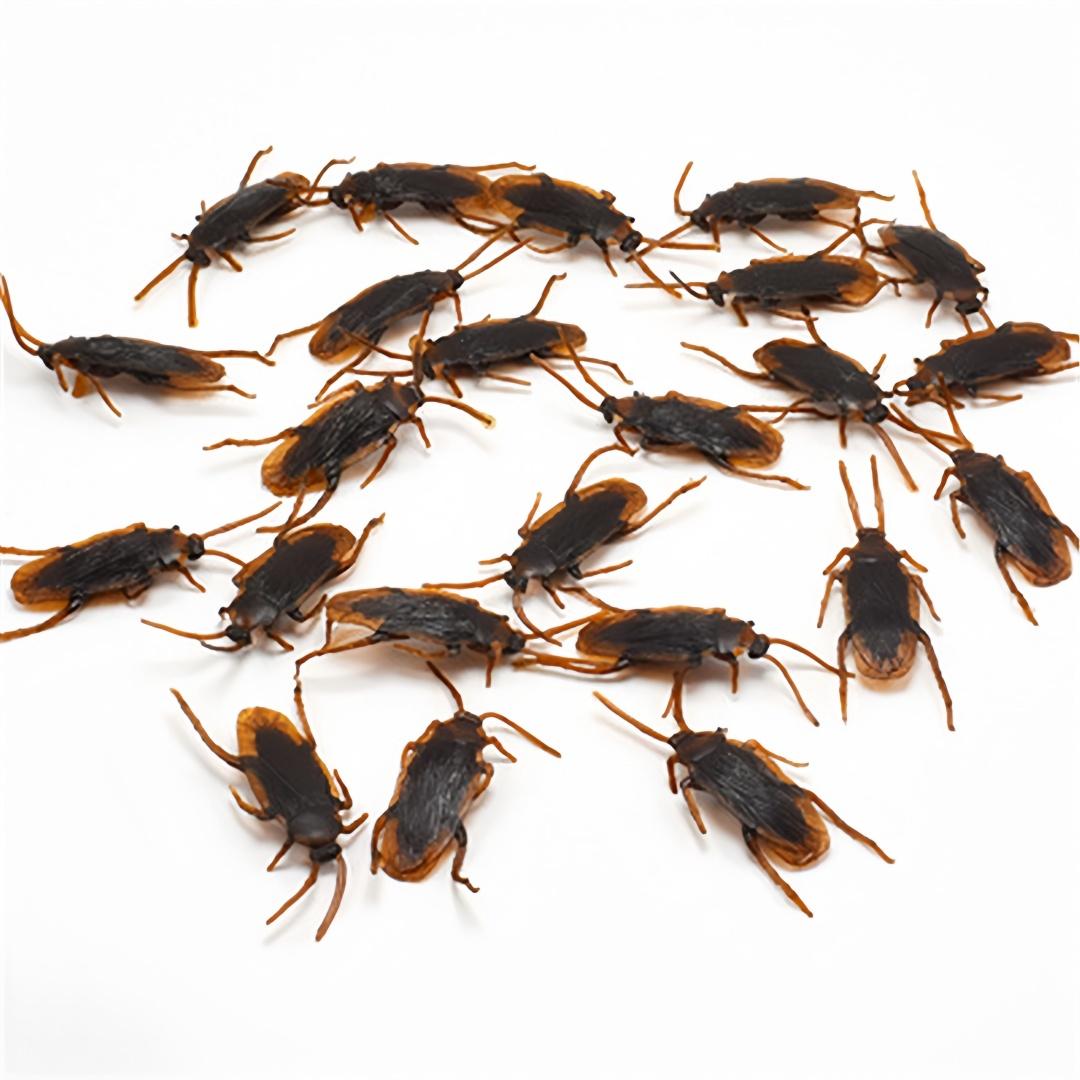 

15/5pc Simulated Cockroaches Realistic Fake Cockroaches in Plastic Models Fun Props For Halloween April Fool s Pranks Small Bugs 10 pcs коричневый