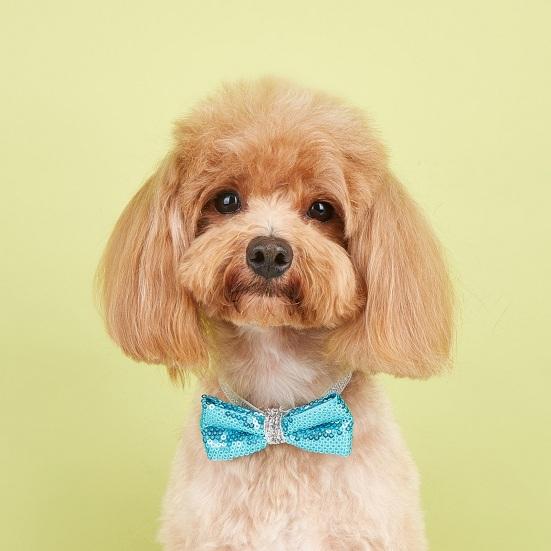 Haustier-Pailletten-Bowknot-Halsband, verstellbar, leicht, süß, niedlich, Katze, kleiner, mittelgroßer Hund, Welpe, Halskette, Heimtierbedarf