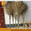 Langshuo Heavy-Duty Street Sweeping Broom