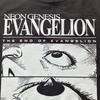 [USED] EVANGELION Anime Movie T-shirt, Size S