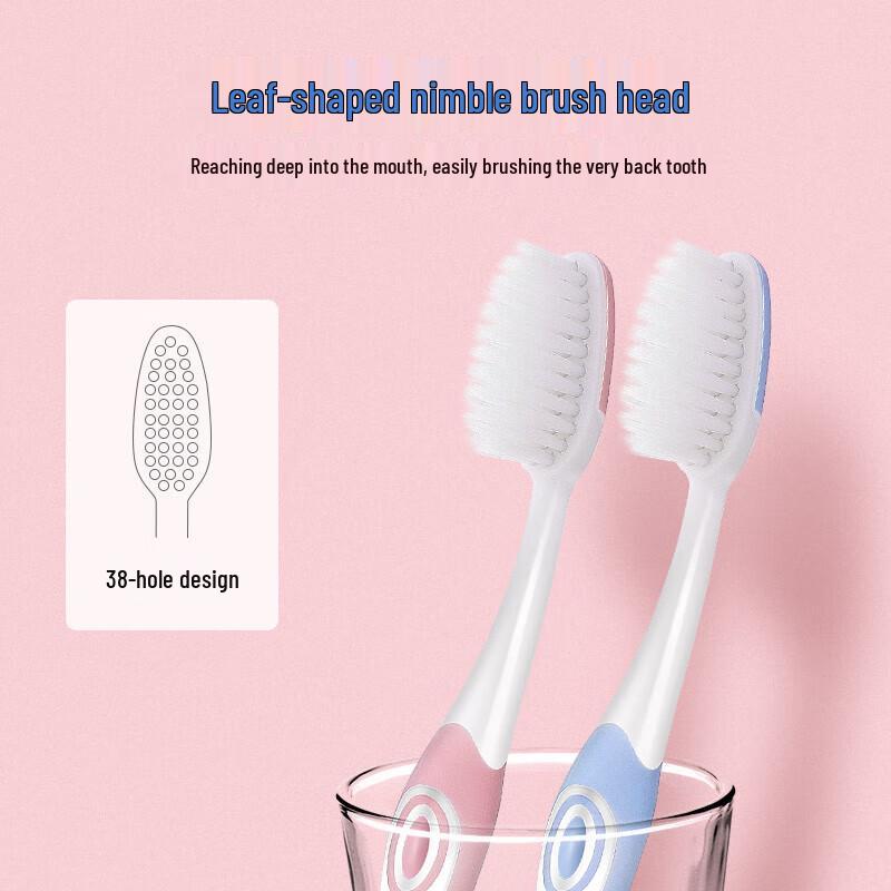 Frog Story Adult Soft Bristle Toothbrush 12-Pack