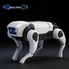 Educational Electric Robot Dog - Assembly Light-Up Bionic Toy for Kids