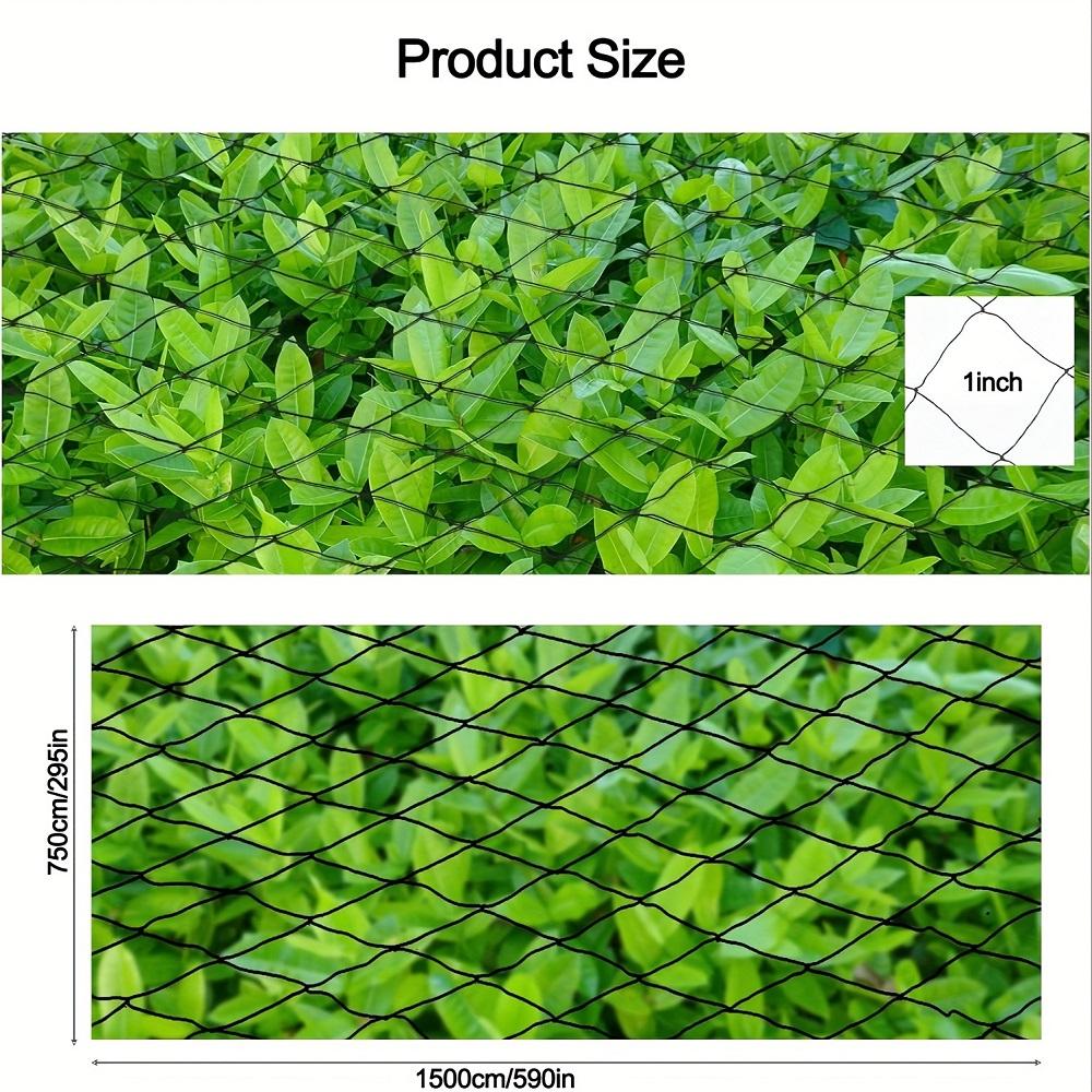 25 X 50 FT Nylon Anti Bird Netting Mesh High Quality Protective Chicken Coop Netting Fruit Tree Netting for Birds Deer Squirrels
