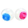 Hamster Supplies: Toys, Exercise Balls