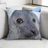 Seal Sea Cute pillow cover living room sofa cushion cover bedroom room bed pillow cover home decoration