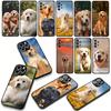 Phone Cover Cute Animal Golden Retriever Dog for Apple iPhone 17 16 11 Pro XS Max XR 6 7 8 Plus + 16E SE 2020 Air 5 8+ Case