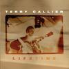 CD TERRY CALLIER  Lifetime 3145477282 BLUE THUMB 199 US Jazz Used