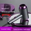 Rotating Folding Ionic Hair Dryer
