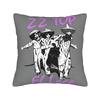Band Zz Top Pillow Case Comfy Pillow Cover For Couch Sofa Bedroom Kawaii Cushion Cover