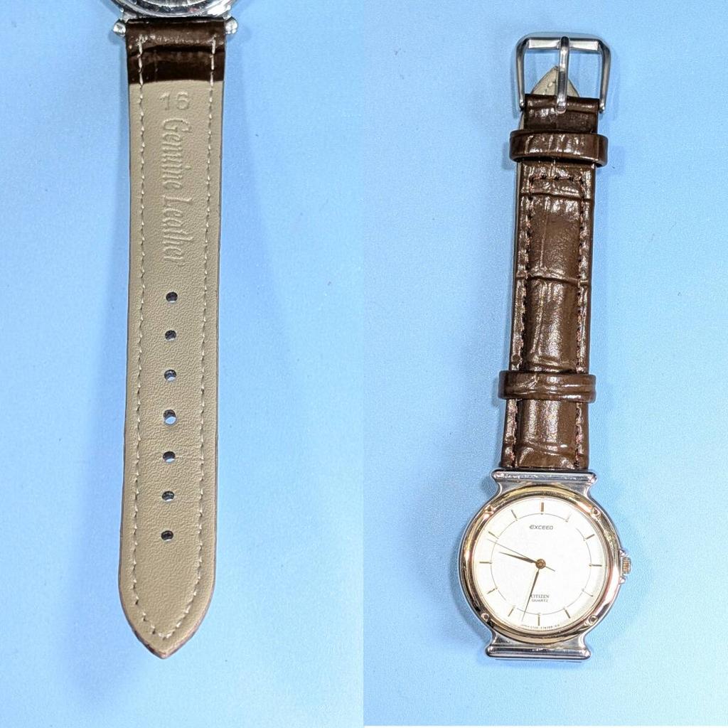 Citizen EXCEED Unisex Battery and Strap Watch, C-20