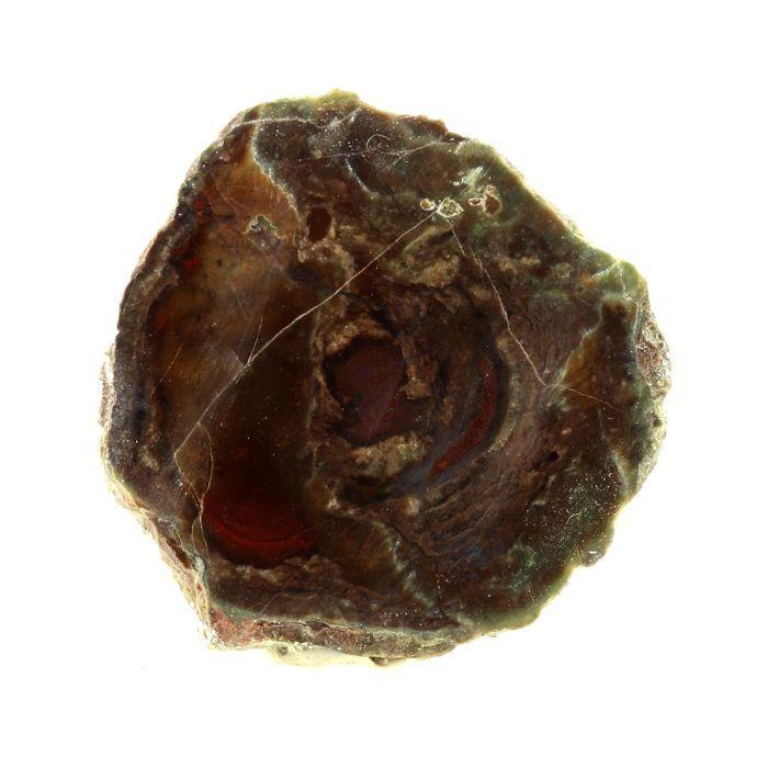 Pierres et Minéraux. Lithophyse. 82.0 ct. Massif de l'Esterel, Var, France.