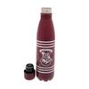 Harry Potter Stripe Crest Metal 550ml Water Bottle