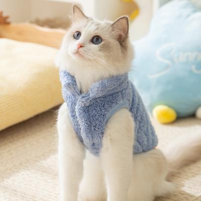 Kedi – Kediler için giyim