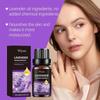 Limited time!!Wiyun Lavender Essential Oil - Moisturizing And Nourishing For Facial Skin, Smooth And Shiny Hair, Multi-Purpose Care Oil