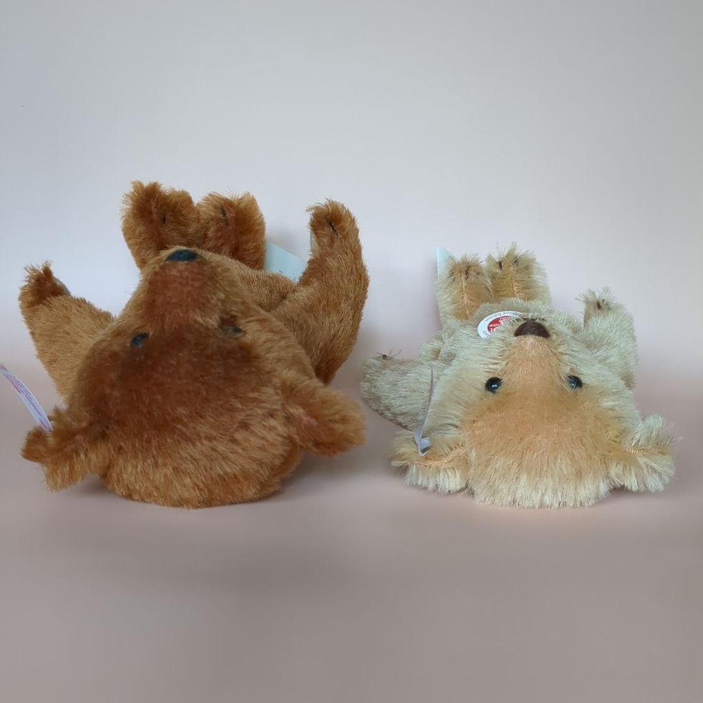 [USED] Steiff William & Henry Brothers Teddy Bear In a Tin