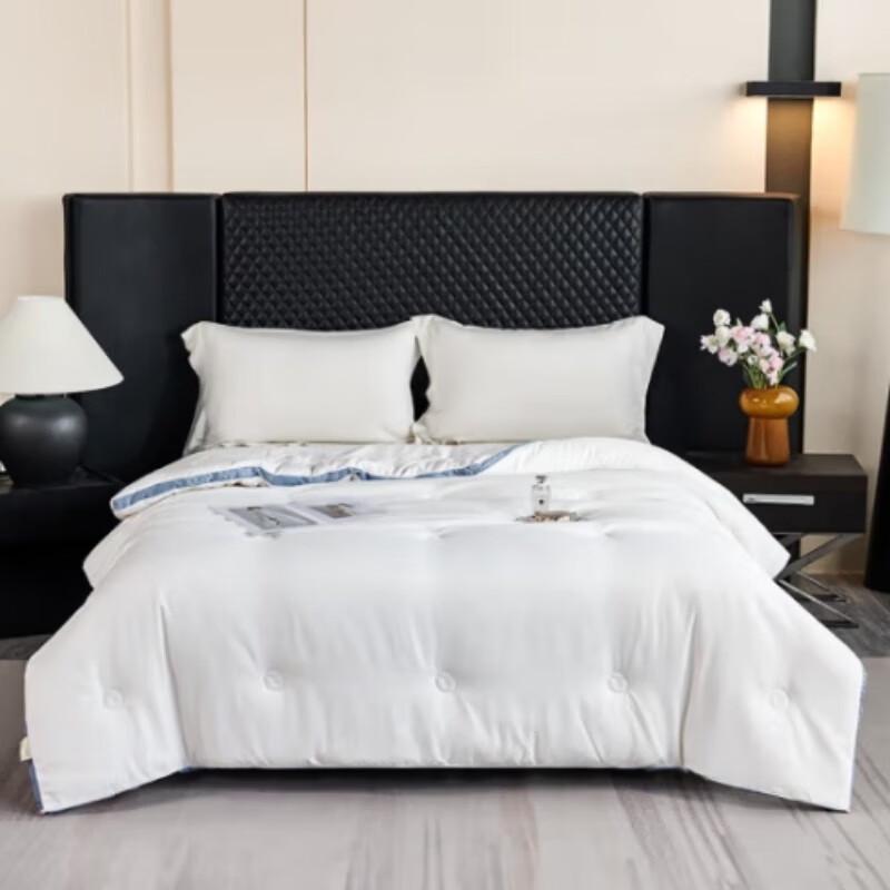 

Jin Si Li Australian Wool Blend Quilt