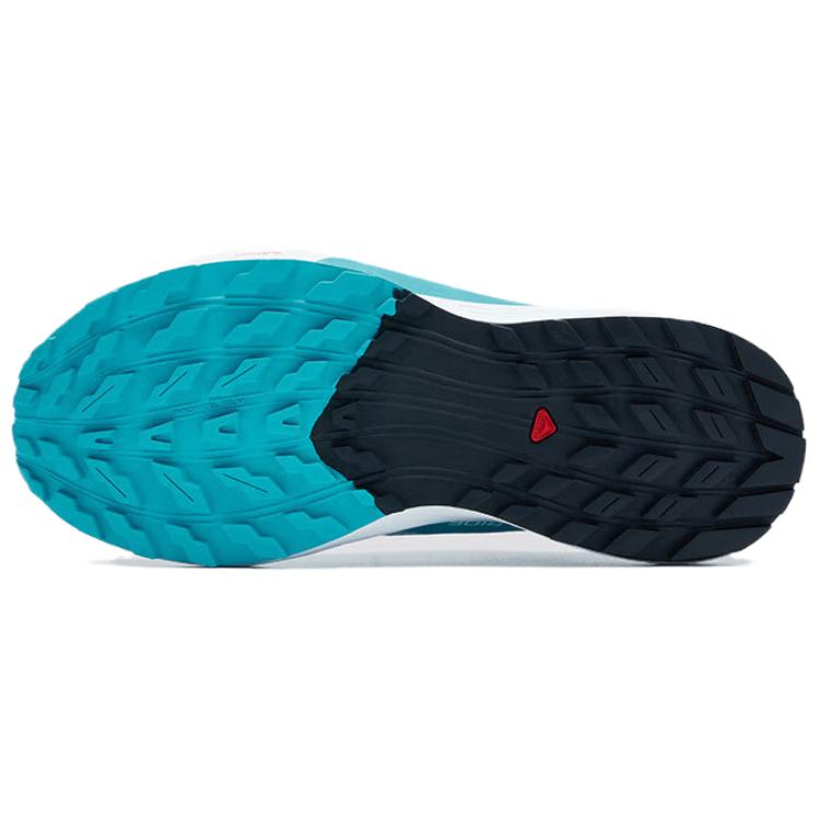 Salomon Sense Ride 5 Women Cashmere Blue/Carbon/Peacock Blue L47458900