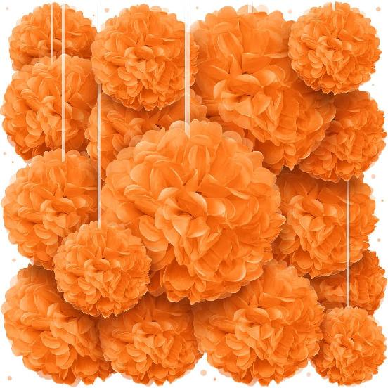 Tissue Paper Pom Poms - Large Tissue Paper Flowers for Fiesta Parties, Baby Shower Decorations, Flower Birthday Decorations and More - Colorful Party