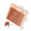 Beekeeping Equipment Tools Rearing Queen Bee Lay Eggs Plastic Box Cage For Professional Beekeeper Apiculture Supplies