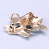 Clothing Accessories Women'S Japanese Personality Brooch Pendant Couple Tropical Fish Oil Drop Cartoon Brooch Collar