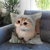 Cute Funny Cat Meme Maple Design Cushion Cover Happy Autumn Harvest Decor Holiday Decorati Pillow Cover