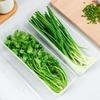 Thickened Refrigerator Storage Container for Freshing Herbs Scallions Noodles Eggs Kitchen Organizers With Airtights Lid