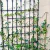Outdoor Rose & Clematis Climbing Frame Stand with Pergola for Balcony or Garden