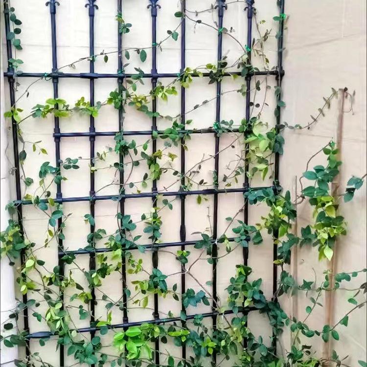 Outdoor Rose & Clematis Climbing Frame Stand with Pergola for Balcony or Garden