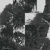 Musikkalbum