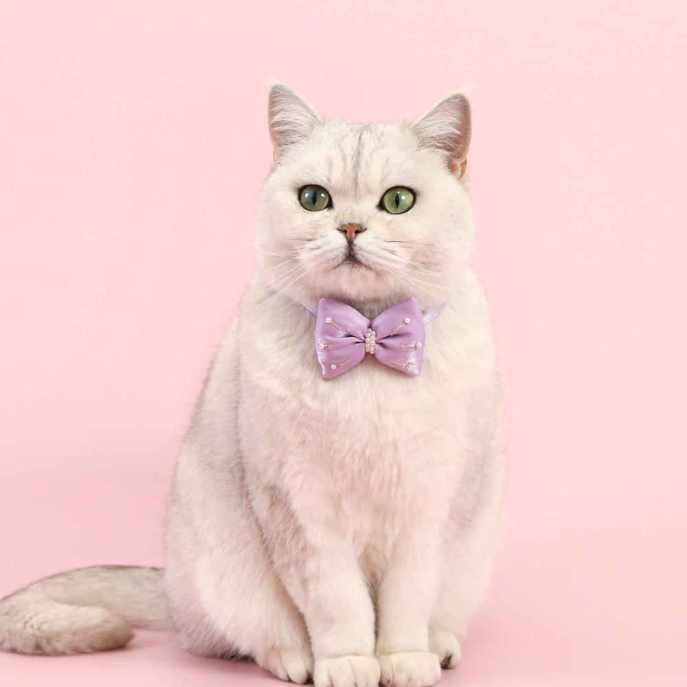 Herz-Anhänger Haustierbedarf Verstellbare Katzenhalsbänder Mode-Haustierhalsband Haustier-Accessoires