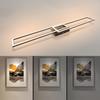 Plafonnier LED - NETTLIFE - 2 cadres rectangulaires - 32W - 3000K (blanc chaud) - Noir