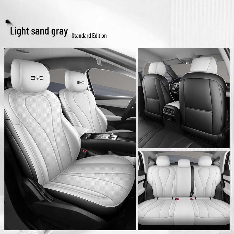 BYD Sea Lion 05 Leather Car