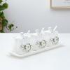 Lotus Ceramic Condiment Jar Set for Salt, Sugar, Soy Sauce, and Vinegar