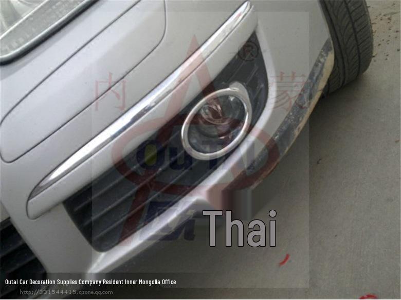 Front Fog Light Cover for 06-10 Volkswagen Sagitar - Trim Modification Frame