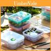 Portable Double Layer Bento Box With Dividers For Office Lunches And Picnics