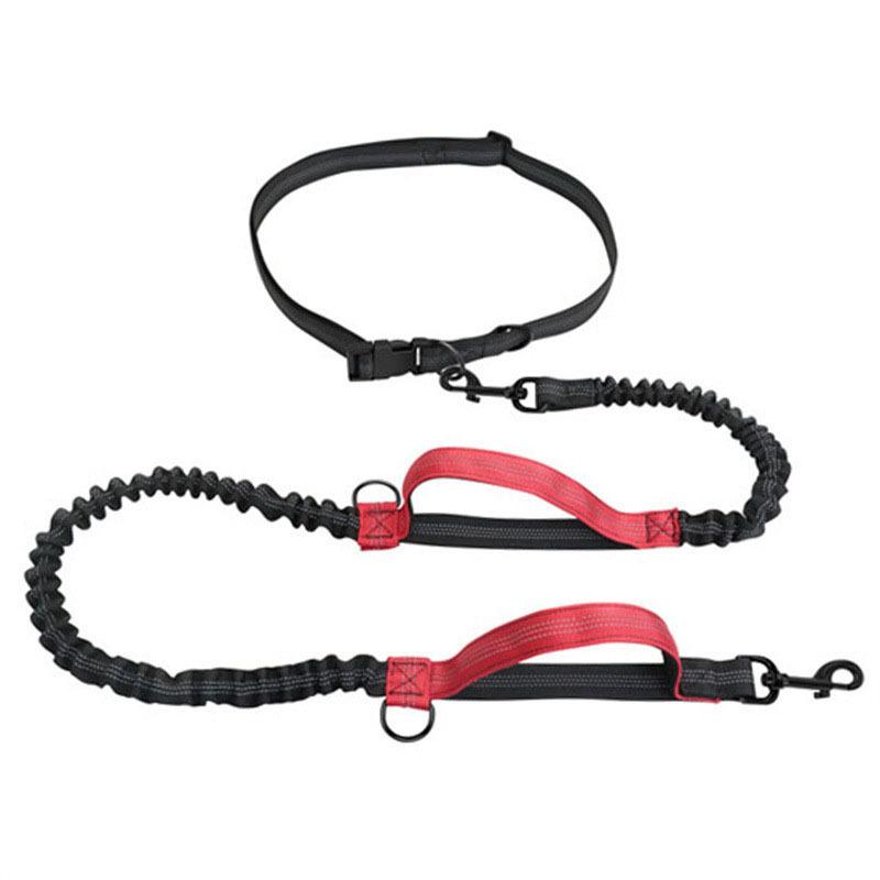 Double Stretch Running Leash Pet Leash Portable Running Reflective Double Stretch Dog Leash