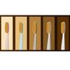 [Wangta] Toothbrush Soft Gold / Basic Stone / Hard Black (1Unit - 10 Pieces)