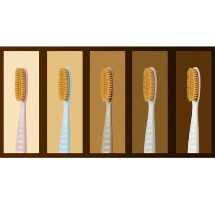 [Wangta] Toothbrush Soft Gold / Basic Stone / Hard Black (1Unit - 10 Pieces)