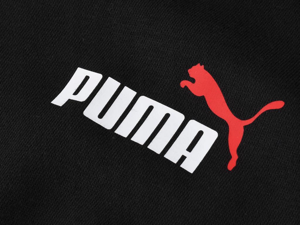 Puma Men Ess 2 [679633 01] r.L
