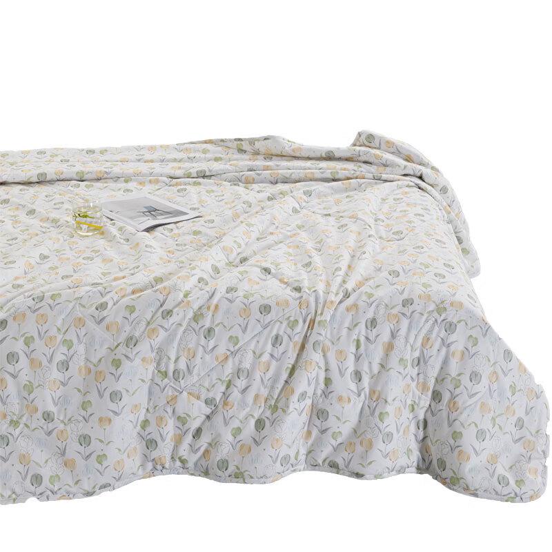 Hengyuanxiang Spring Garden All-Season Pillow Quilt