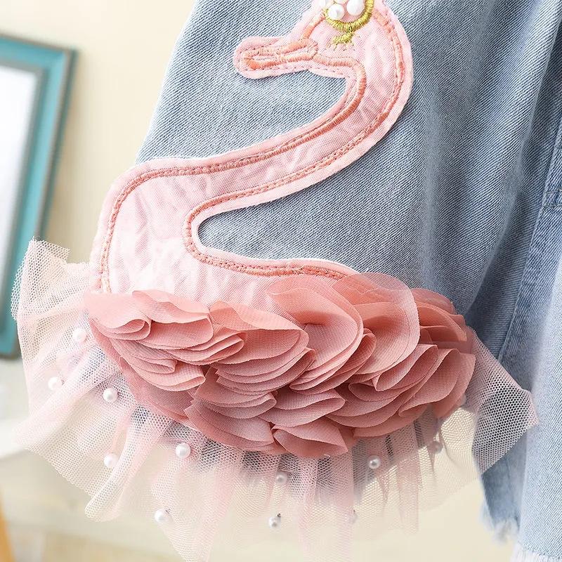 Dívčí džínové šortky v létě Labutí dívky nosí kalhoty mimo léto