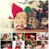 Pet Themed Christmas Photography Backdrop,Party Banner,Wall Decor,for Parties Backdrops,Holiday Decor,Photo Studio